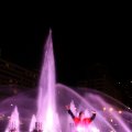 IMG_632681