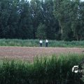 IMG_633543