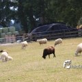 IMG_659048