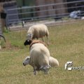 IMG_659049