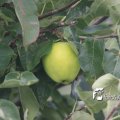 IMG_659053