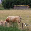 IMG_659076