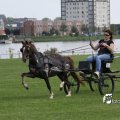 IMG_661916