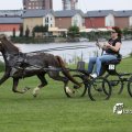 IMG_661919