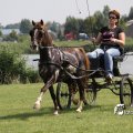 IMG_661933