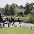IMG_661945