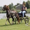 IMG_661951