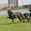 IMG_661956