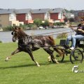 IMG_661957