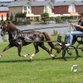 IMG_661958