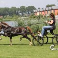 IMG_661960