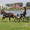 IMG_661961