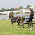 IMG_661962