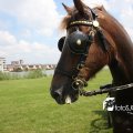 IMG_661983
