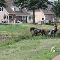 IMG_661990