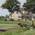 IMG_661991