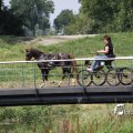 IMG_661992
