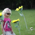 IMG_661652
