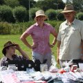 IMG_661673