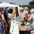 IMG_661681