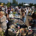 IMG_661683