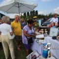 IMG_661730