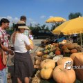 IMG_661741