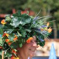 IMG_661743