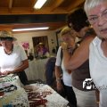 IMG_661754