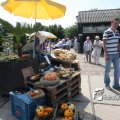 IMG_661837