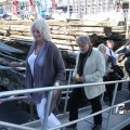 IMG_695337