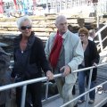IMG_695381
