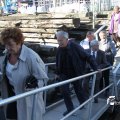IMG_695412