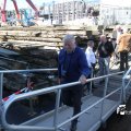 IMG_695536