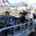 IMG_695541