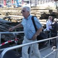IMG_695591