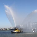 IMG_695875