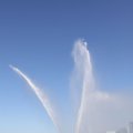 IMG_695876