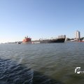 IMG_695978