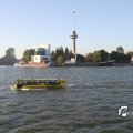 IMG_696604