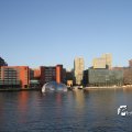IMG_696650