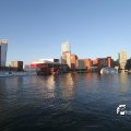 IMG_696653