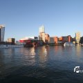 IMG_696654