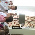 IMG_698273