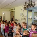 IMG_698277