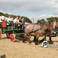 IMG_179343