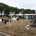 IMG_325908