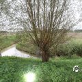 IMG_699848