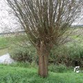 IMG_699853