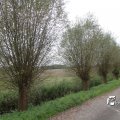 IMG_699857